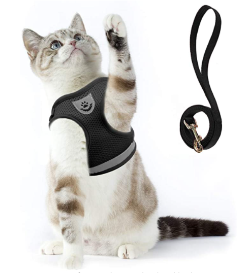 Premium ausbruchsicheres Katzengeschirr & Leine für maximale Sicherheit und angenehme Spaziergänge.