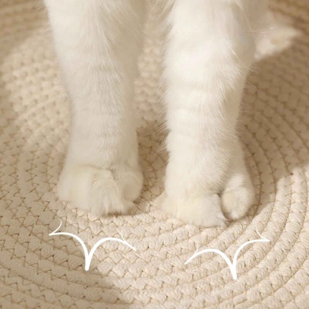 Handgewebtes Baumwoll-Katzenbett, robust und gemütlich, für mittelgroße Katzen geeignet.