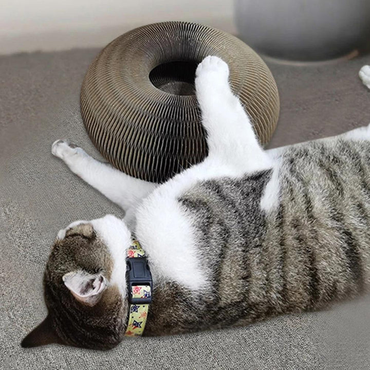 Detailansicht: Das interaktive PurrFit Spielzeug animiert Katzen zum Spielen und fördert ihre Agilität.