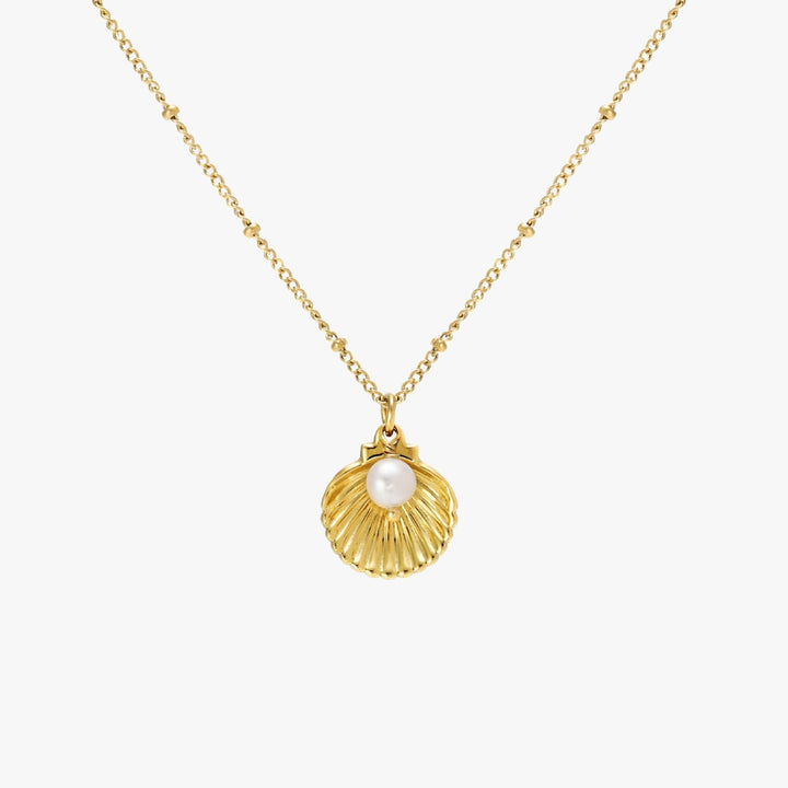Damen Goldschmuck: Muschelkette mit schimmernder Süßwasserperle. Wasserfester & eleganter Halsschmuck.