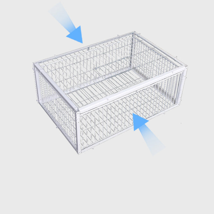 Tierschonende Lebendfalle für Vögel; ideal zur Regulierung der Vogelpopulation in Gärten, Höfen & Feldern.