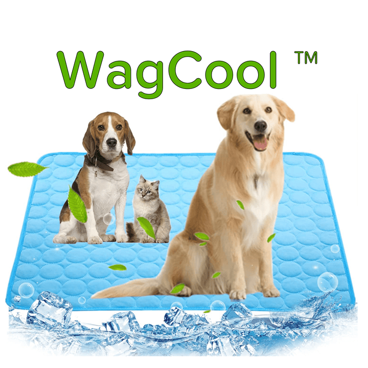 Kühlende Haustier-Matte für Hunde und Katzen, ideal für Sommer-Abkühlung und Komfort.