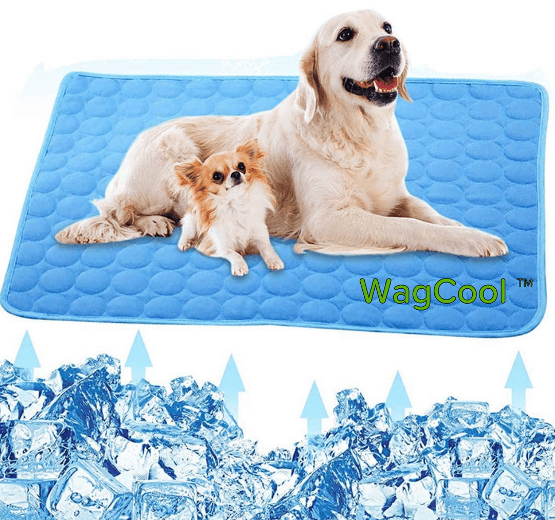 Komfortable Kühlmatte für Haustiere, sorgt für Abkühlung an heißen Sommertagen bei Hunden & Katzen.